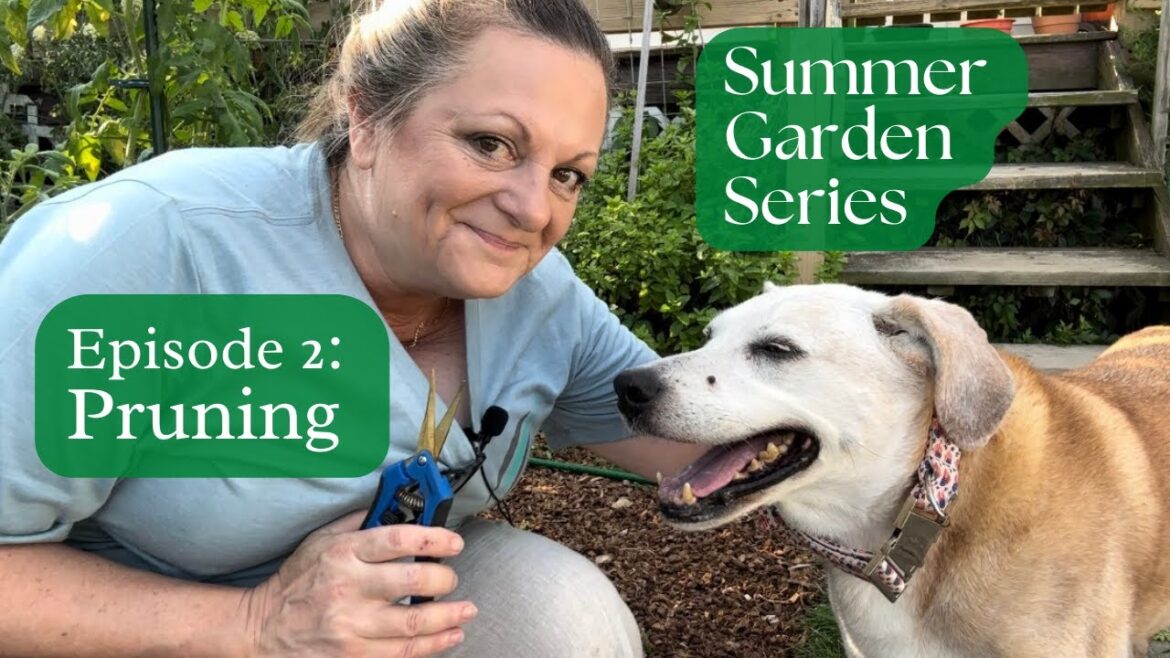 Tips for Pruning Your Vegetables | Summer Gardening Tips Series, Episode 2 #pruning