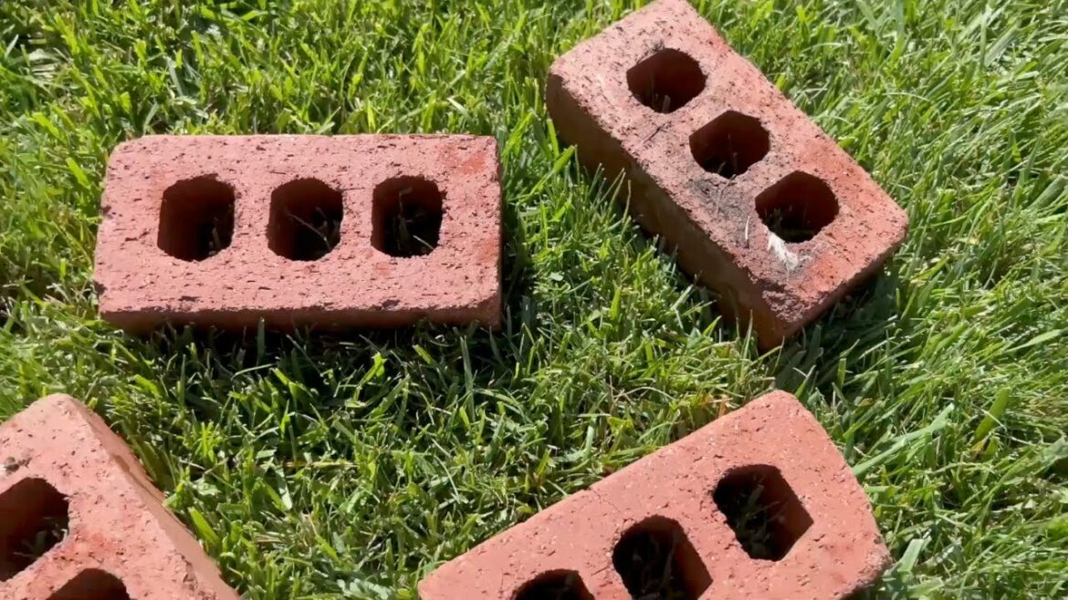 Lay bricks in your yard for this amazing garden idea! Lay bricks in your yard for this amazing garden idea!