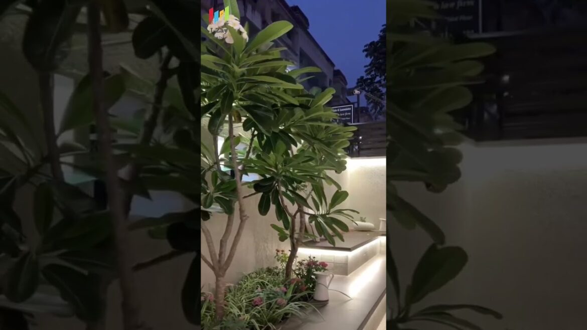 Backyard Vibes | Backyard Transformation