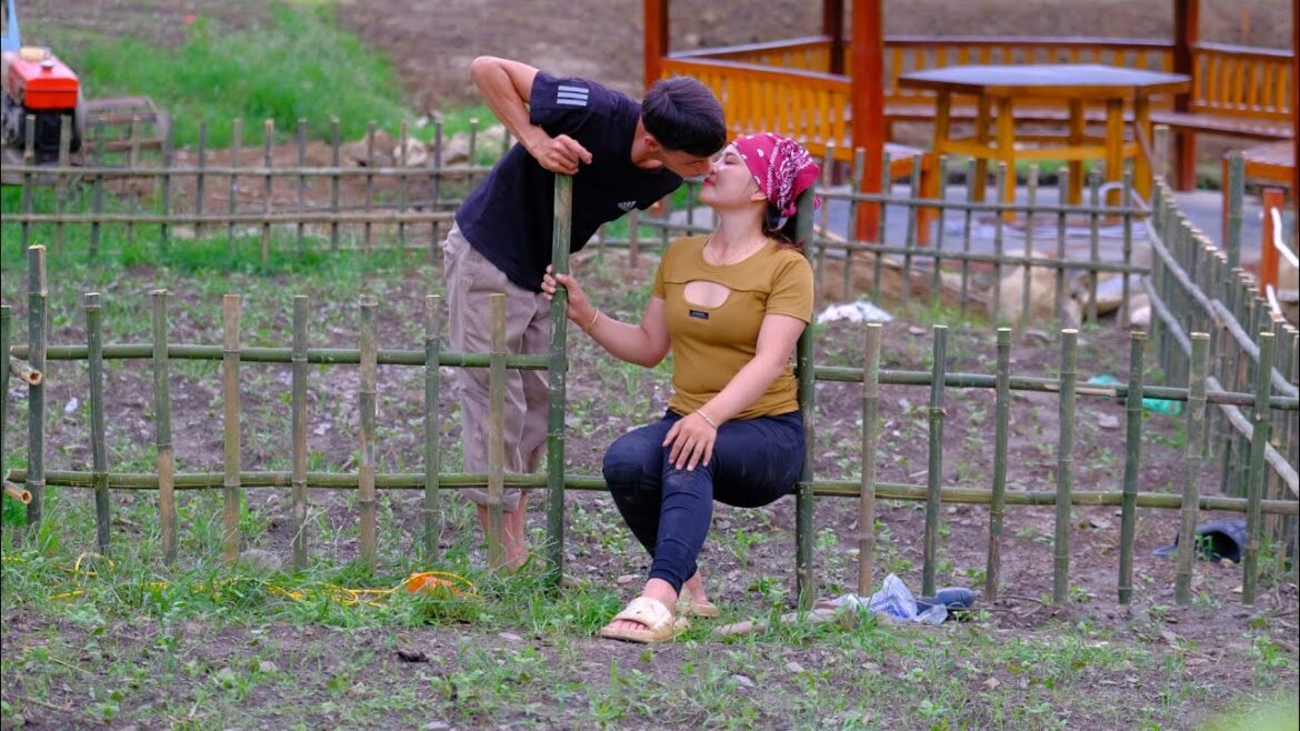 Build bamboo fences for flower gardens, grow healthy pond fish, Sang vy daily farm life