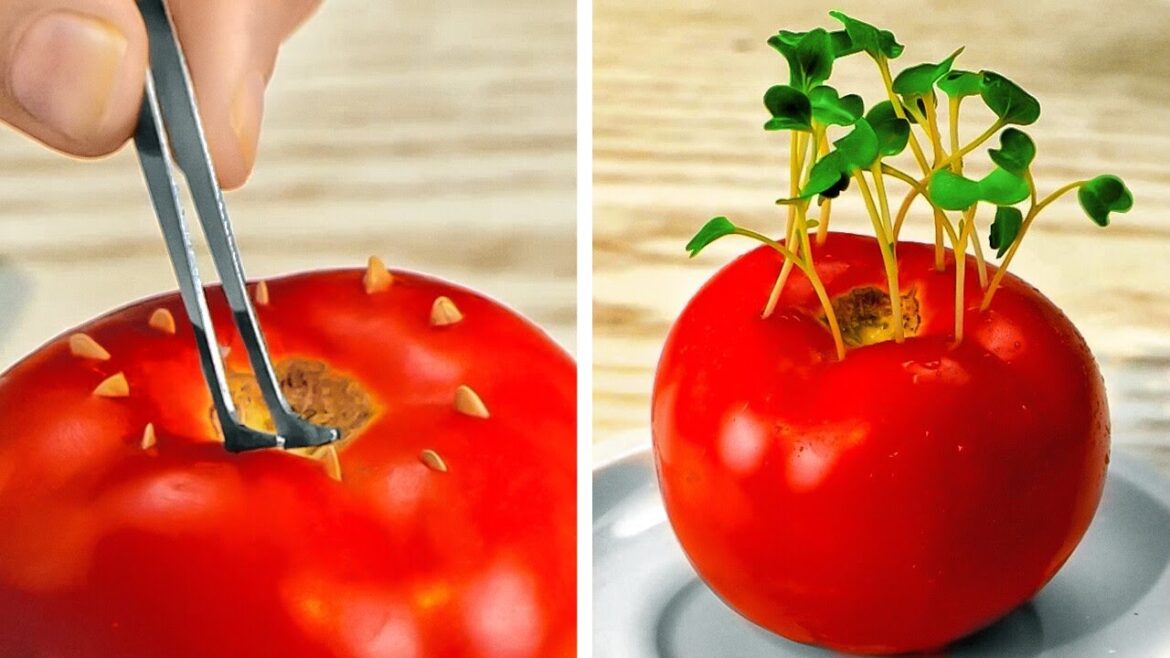 Unusual Gardening Hacks That Actually Work Unusual Gardening Hacks That Actually Work