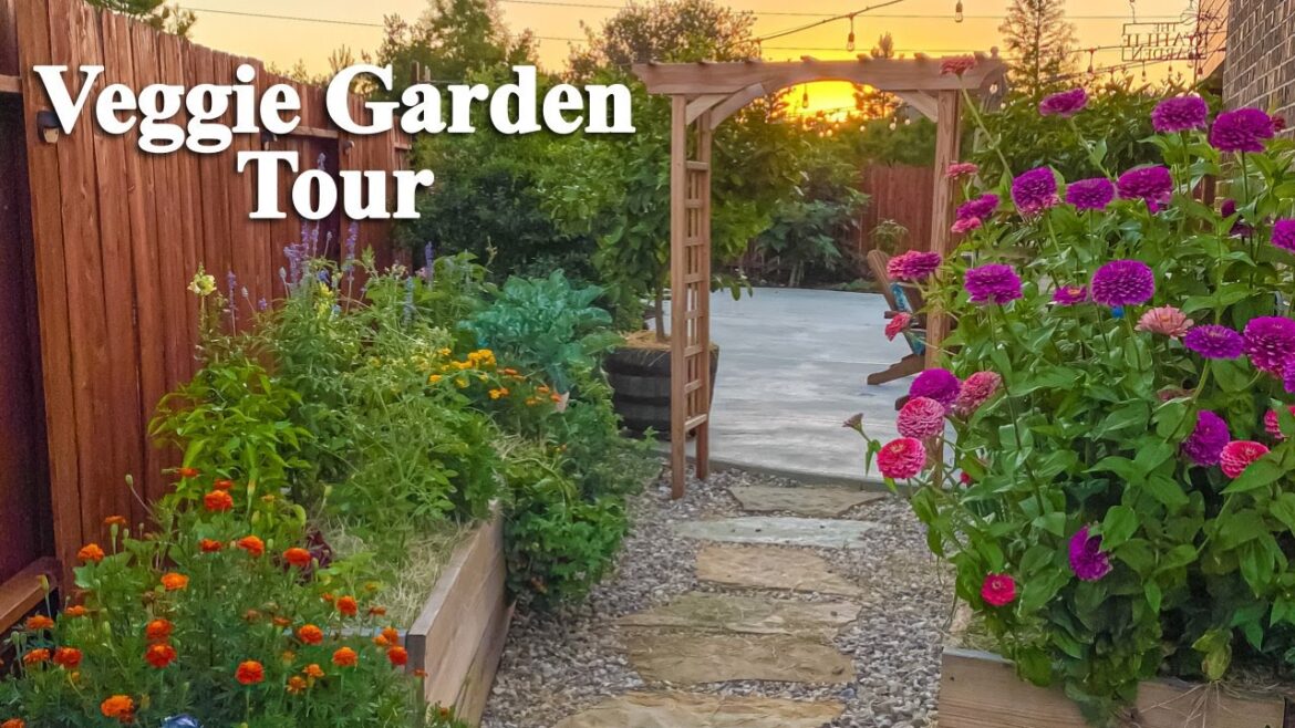 🥕Vegetable Garden TOUR 🥦[June 2020] / Backyard Secret Garden