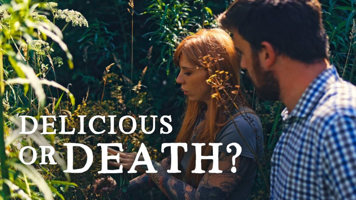 Huw Richards: FREE Food Is Everywhere | Huw’s Garden Diaries FREE Food Is Everywhere | Huw's Garden Diaries