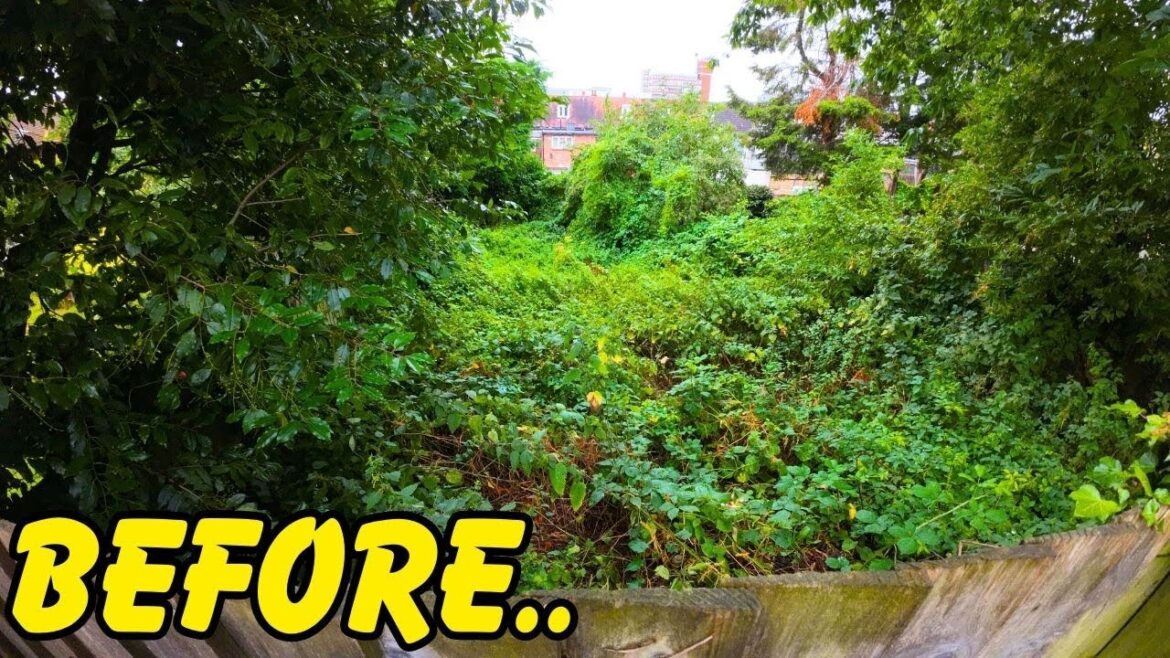 STINGING NETTLE CITY! They’ve Never been In Their Garden.. STINGING NETTLE CITY! They've Never been In Their Garden..