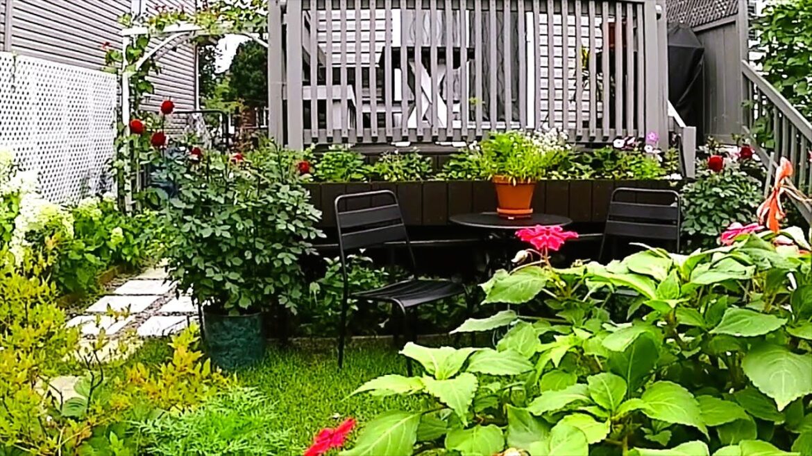 A Very Small Backyard Garden Therapy | Garden Tour #garden #gardening #gardentour #new #relaxing