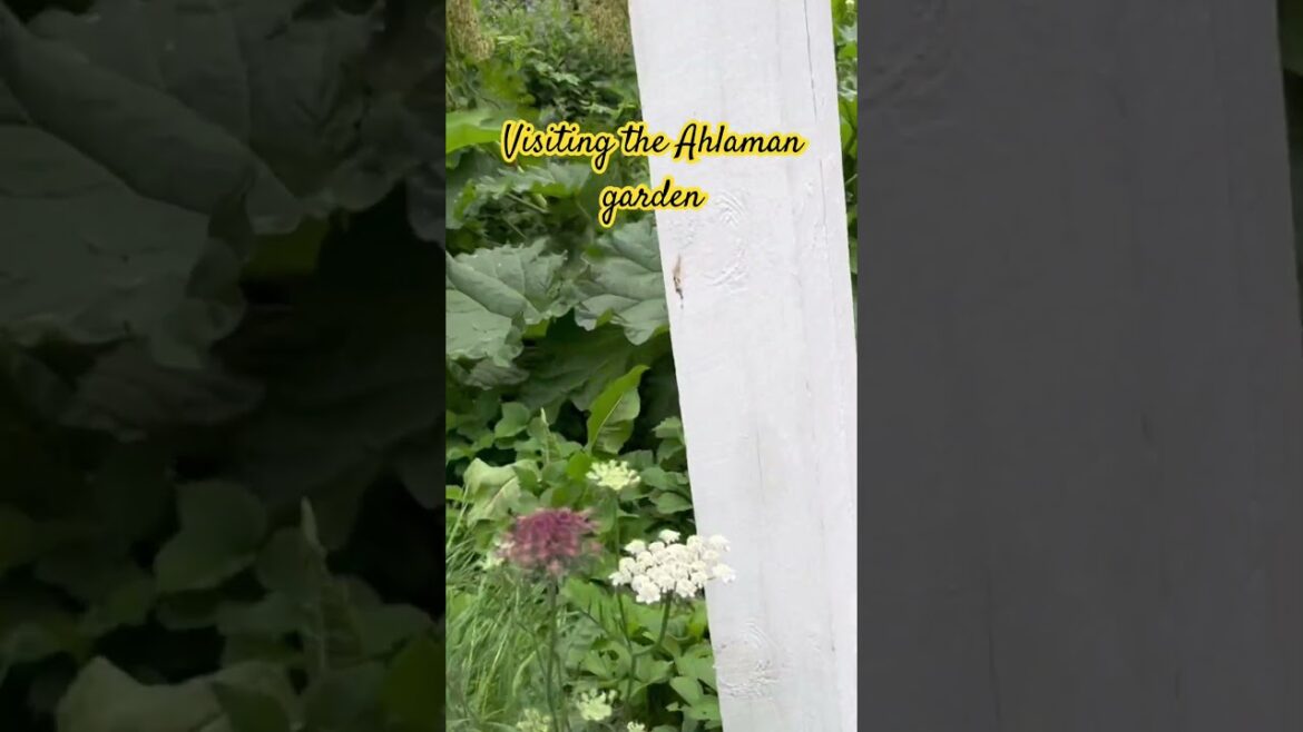 Ahlman Garden Tour