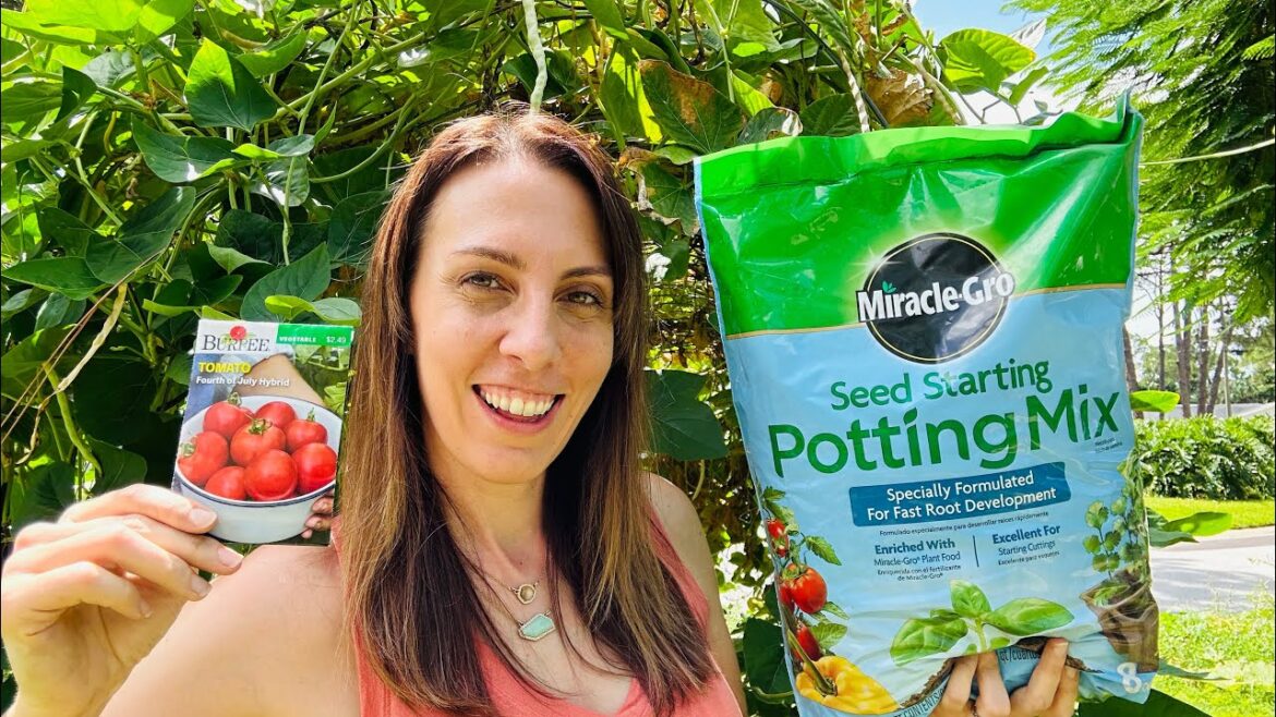 7+ MISTAKES to AVOID Seed Starting in your Florida Fall Vegetable Garden 7+ MISTAKES to AVOID Seed Starting in your Florida Fall Vegetable Garden