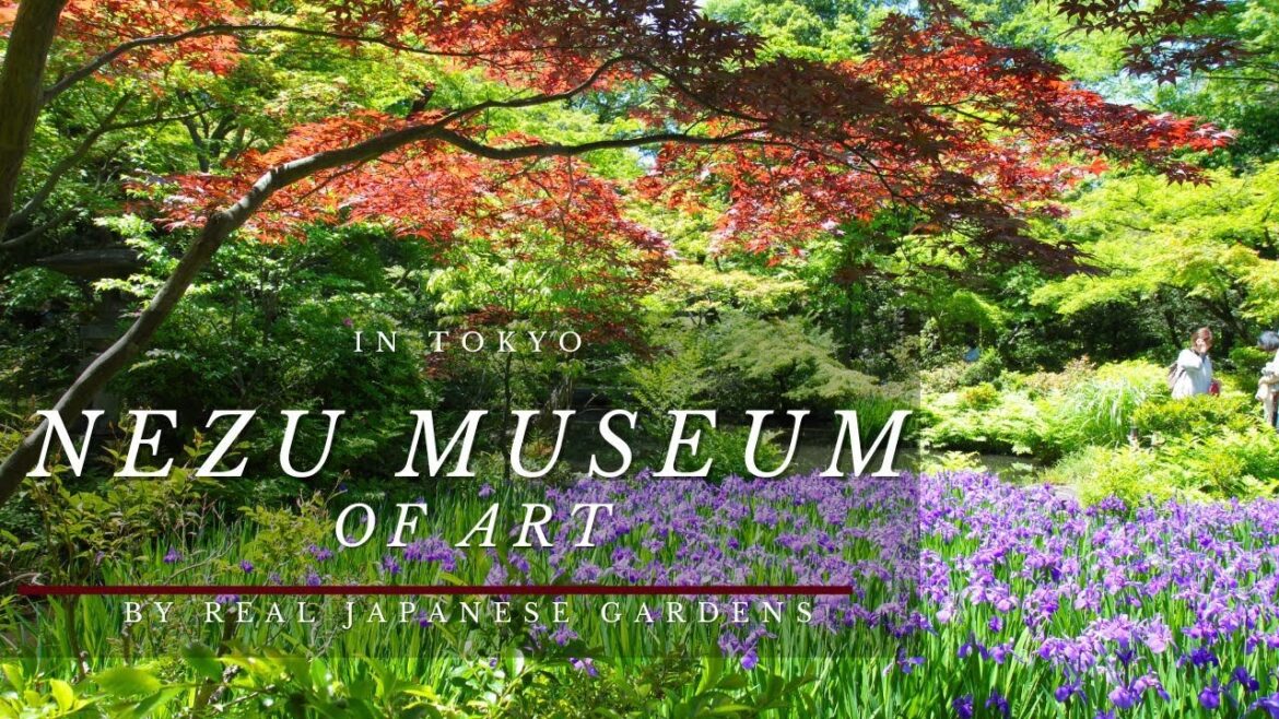 NEZU MUSEUM of Art by Real Japanese Gardens 4K 2023