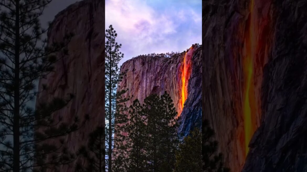 A relaxing view and a gentle melody for a perfect day