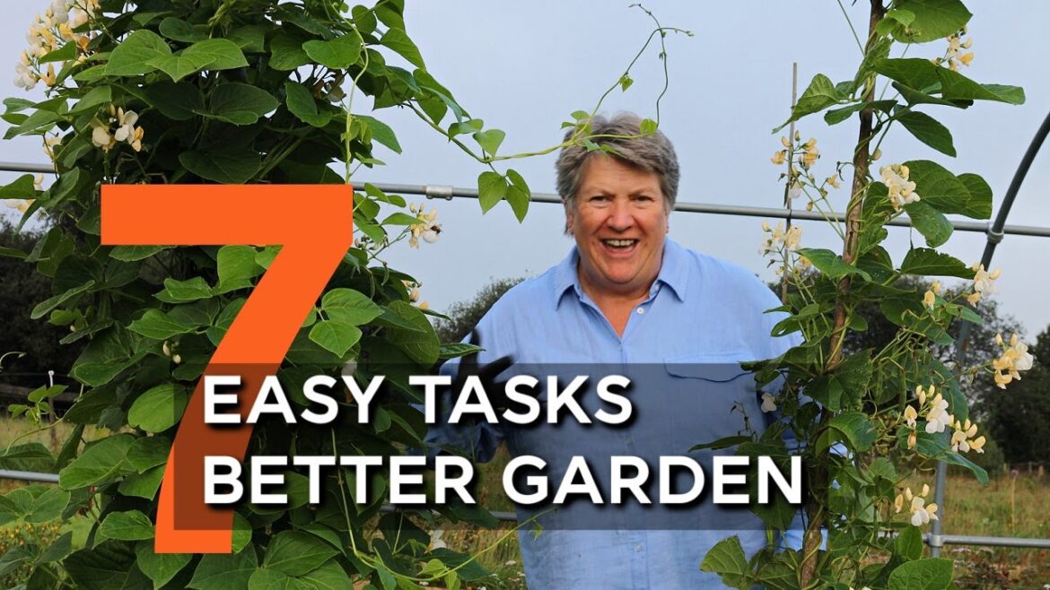 7 Brilliant Tips for Late Summer in Vegetable Garden