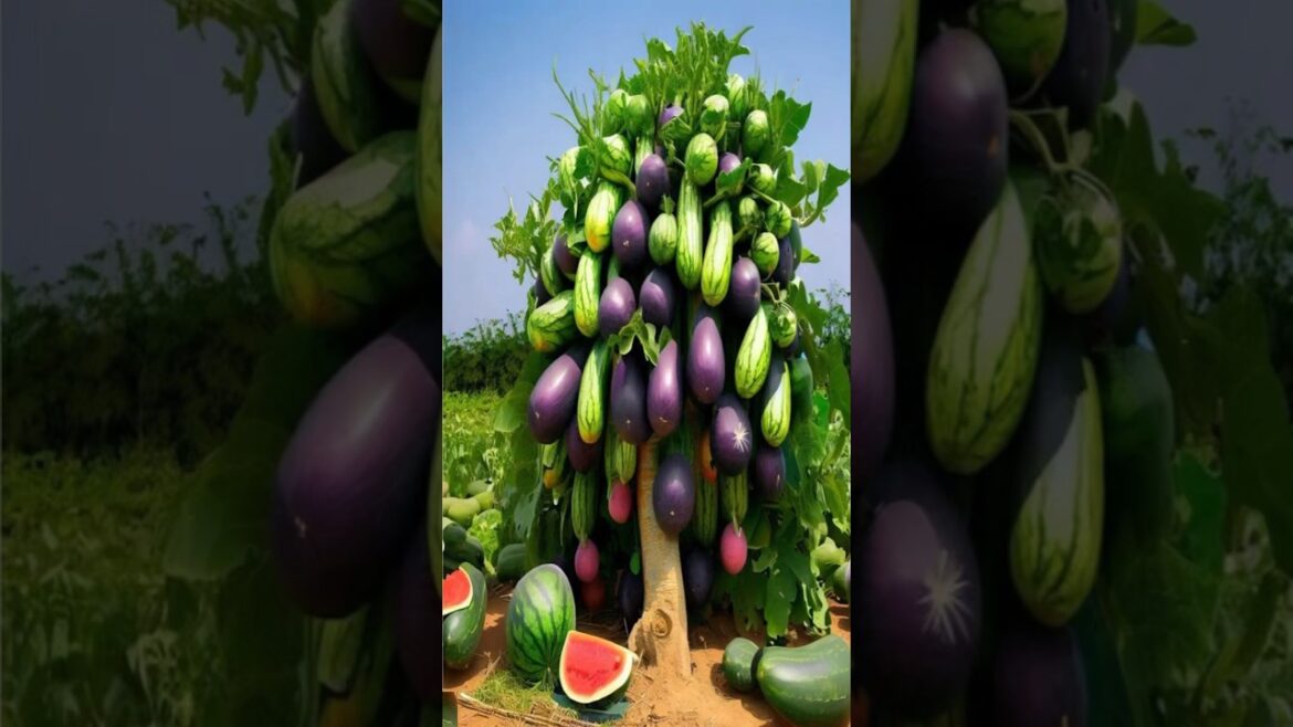 Tips for grafting watermelon with eggplant to get more fruit  #garden #flowers #tree