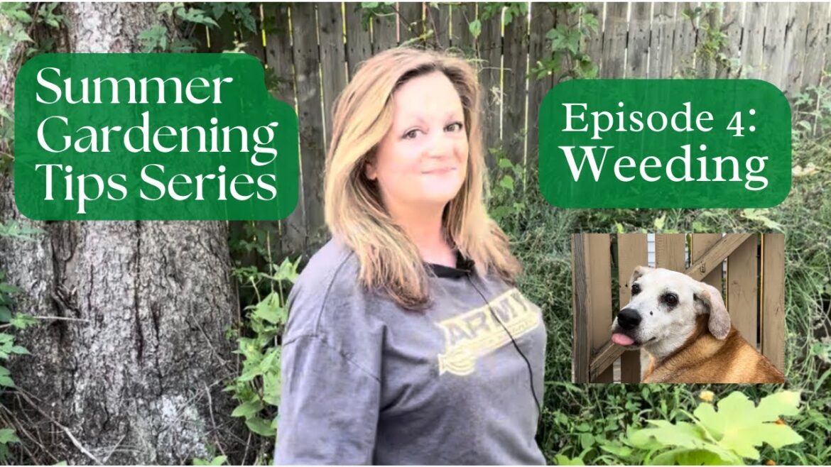 Tips for Weeding | Summer Gardening Tips Series, Episode 4. How to weed  your garden. #weeding