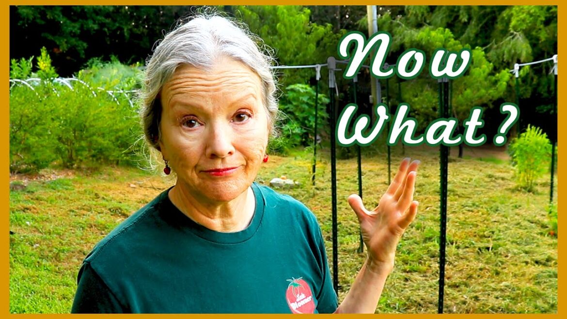 Something HAD to GO! No-Till FAIL!