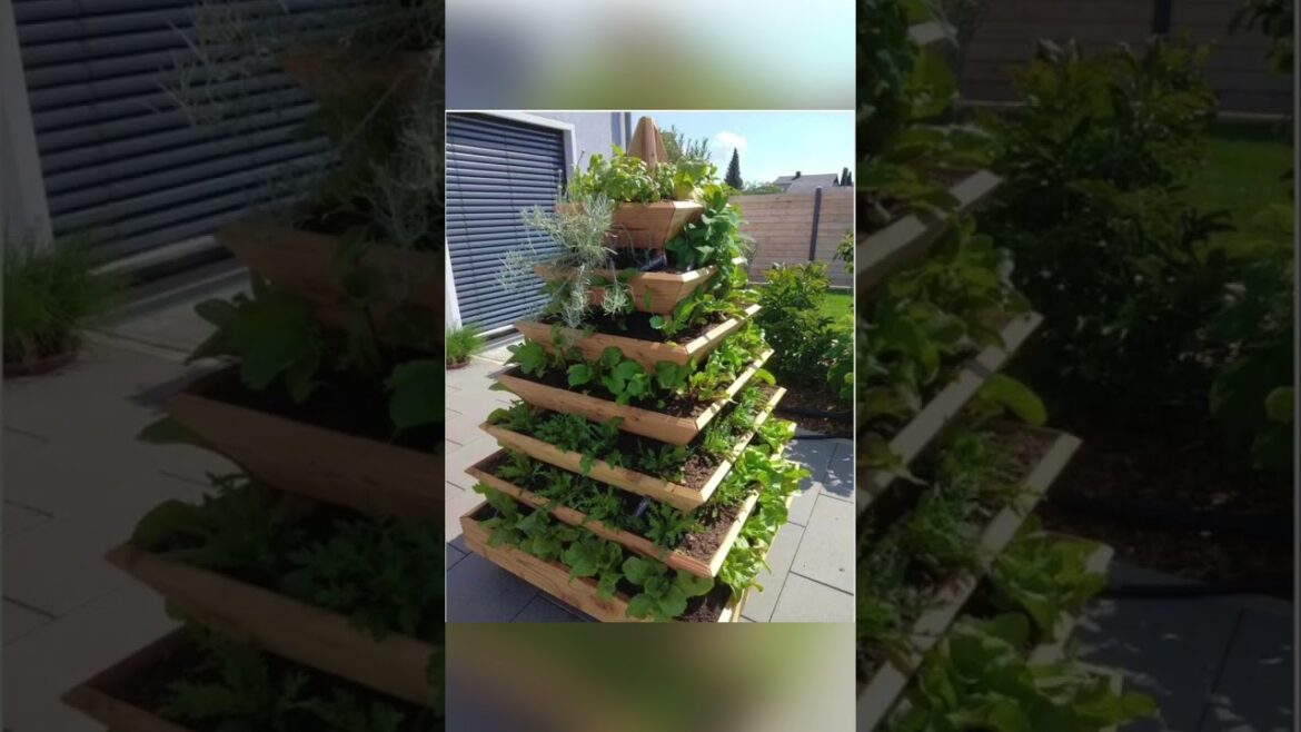 Ideas for vegetable gardening.