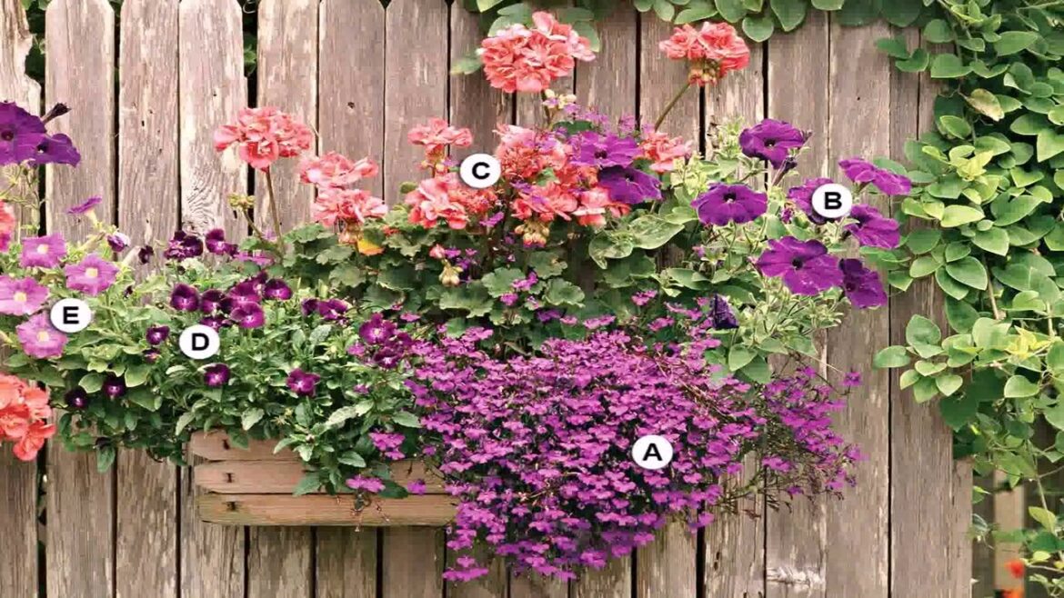 Container Garden Design Ideas Uk