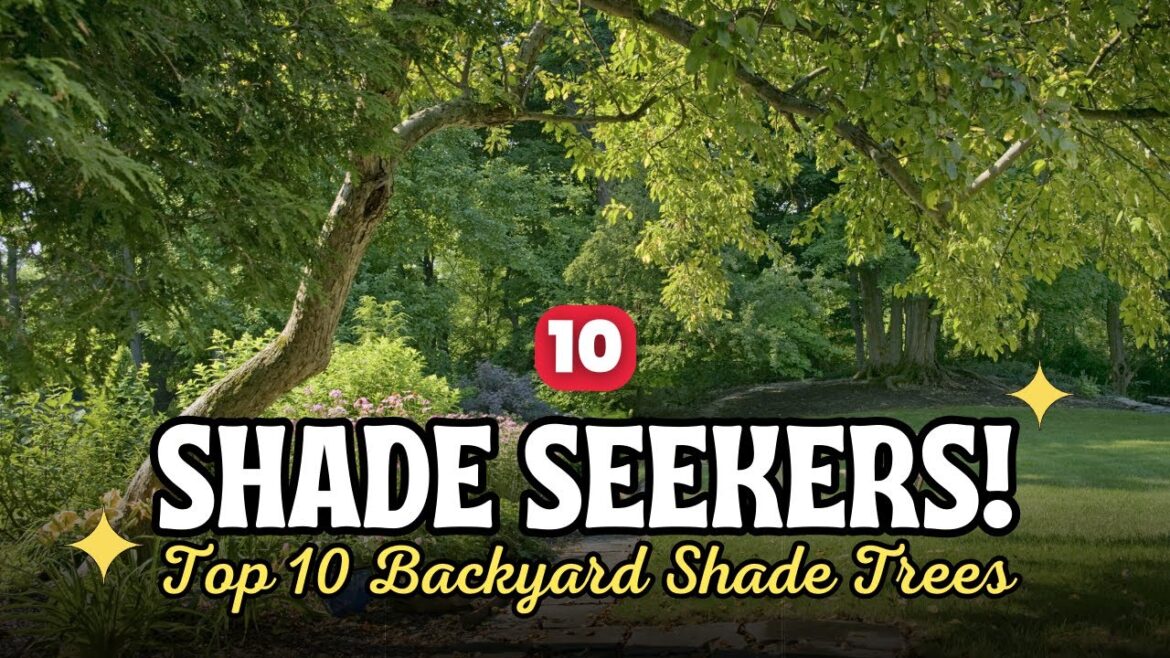 Need Shade? Top 10 Trees Every Shady Backyard Dreams Of!🍃🌳