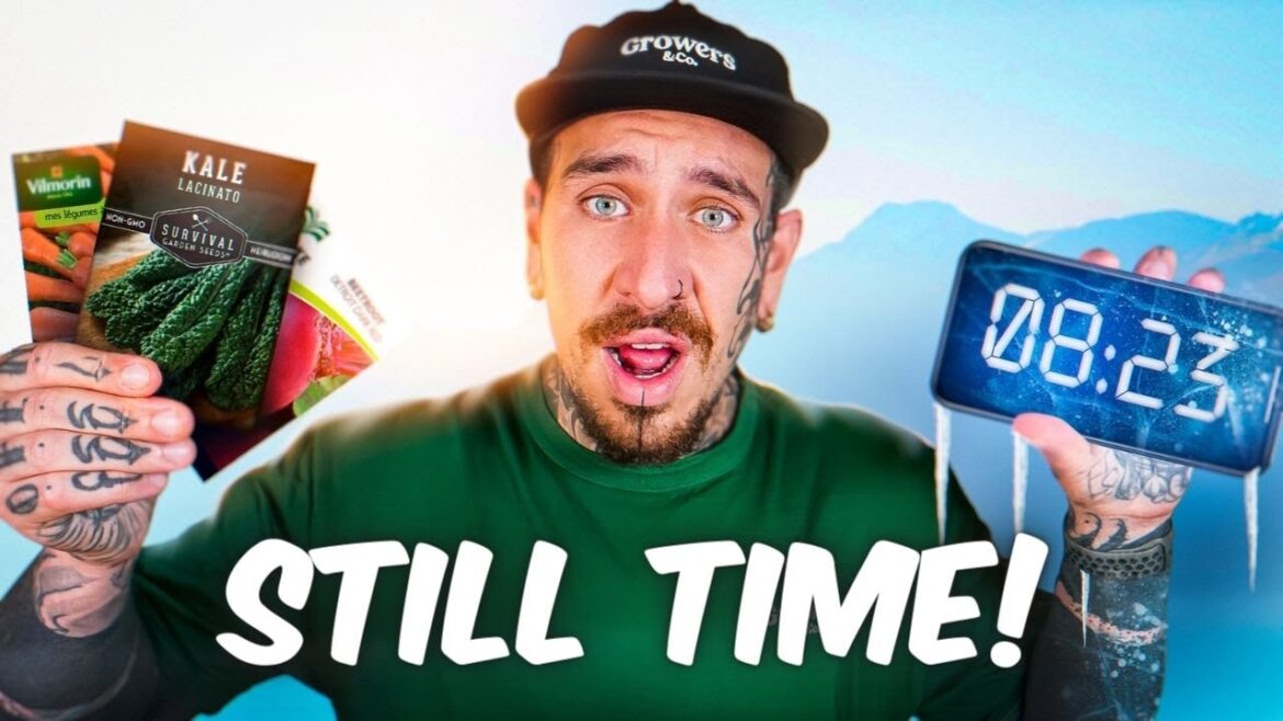 There's Still Time! 10 Vegetables to START in AUGUST