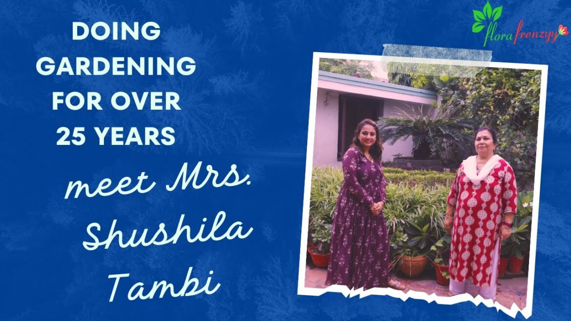 Garden Design With Sushila Tambi, Plants in a gardener's garden, semi shade plants,