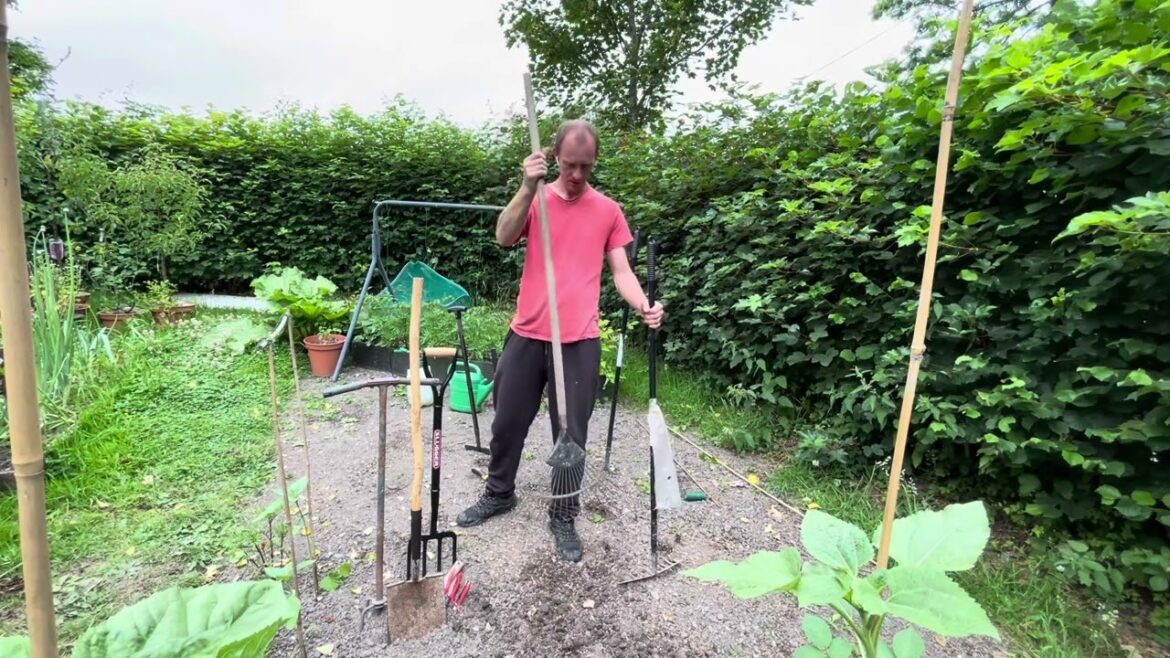 Essential Gardening Tools for beginners | Veg Gardening Essential Gardening Tools for beginners | Veg Gardening