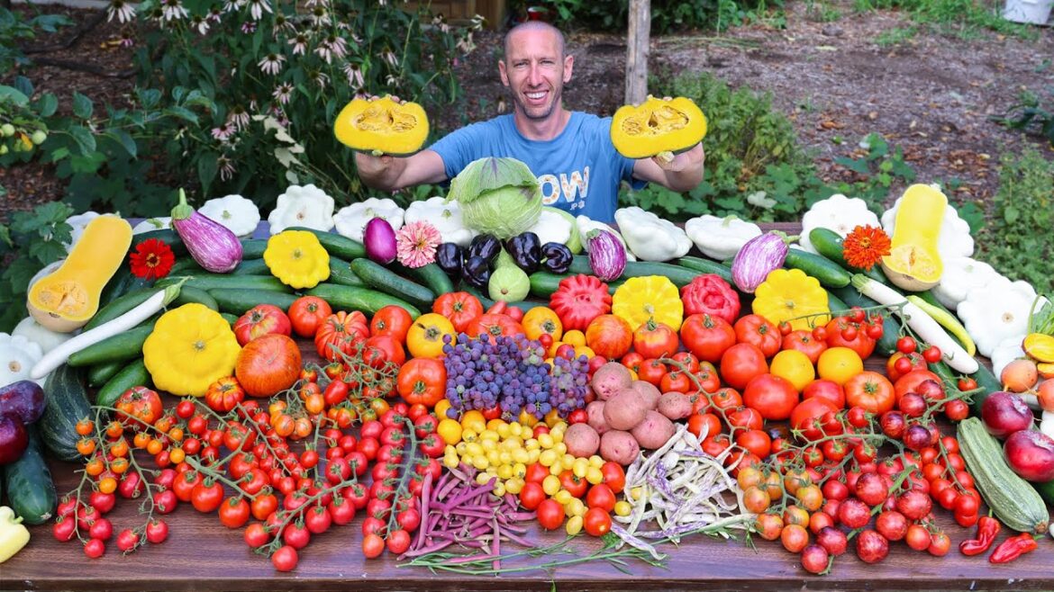 James Prigioni: Amazing Garden Harvest on Only 1/9th an Acre, Backyard Sustainable Gardening Amazing Garden Harvest on Only 1/9th an Acre, Backyard Sustainable Gardening