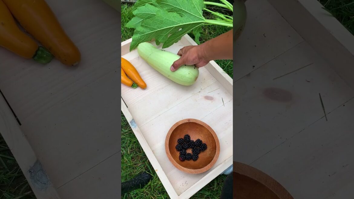 There's nothing quite like the taste of #homegrown produce