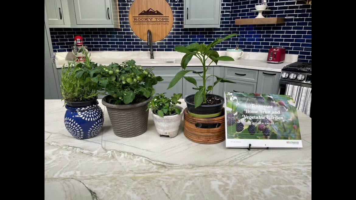 Haley Treadway shares essential June gardening tips and Master Gardener tour dates Haley Treadway shares essential June gardening tips and Master Gardener tour dates