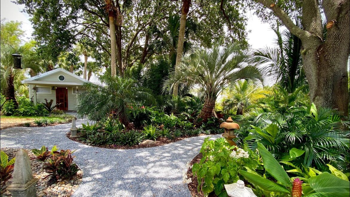 Backyard transformation. The client List 😳🤔💭 Backyard transformation. The client List 😳🤔💭