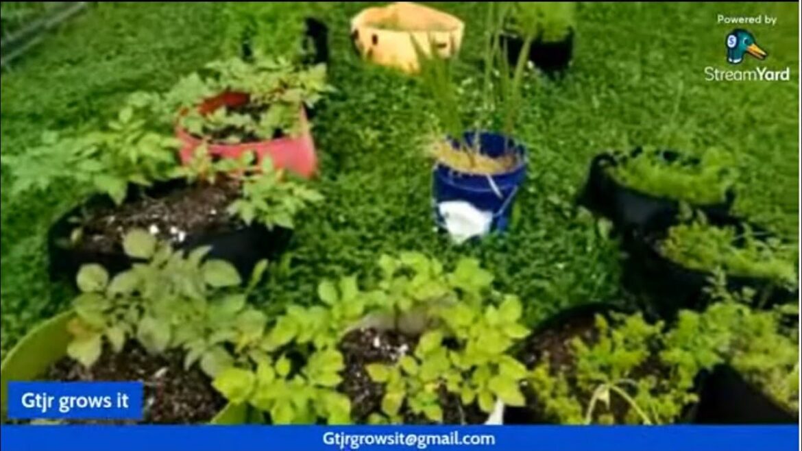 Garden Tour🌱🌿🌾   Let's get this raised bed prepared.