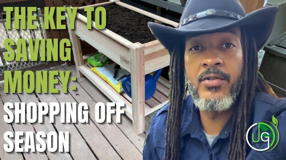 North Texas Garden Tip: Save Money & Buy Off Season!! North Texas Garden Tip: Save Money & Buy Off Season!!