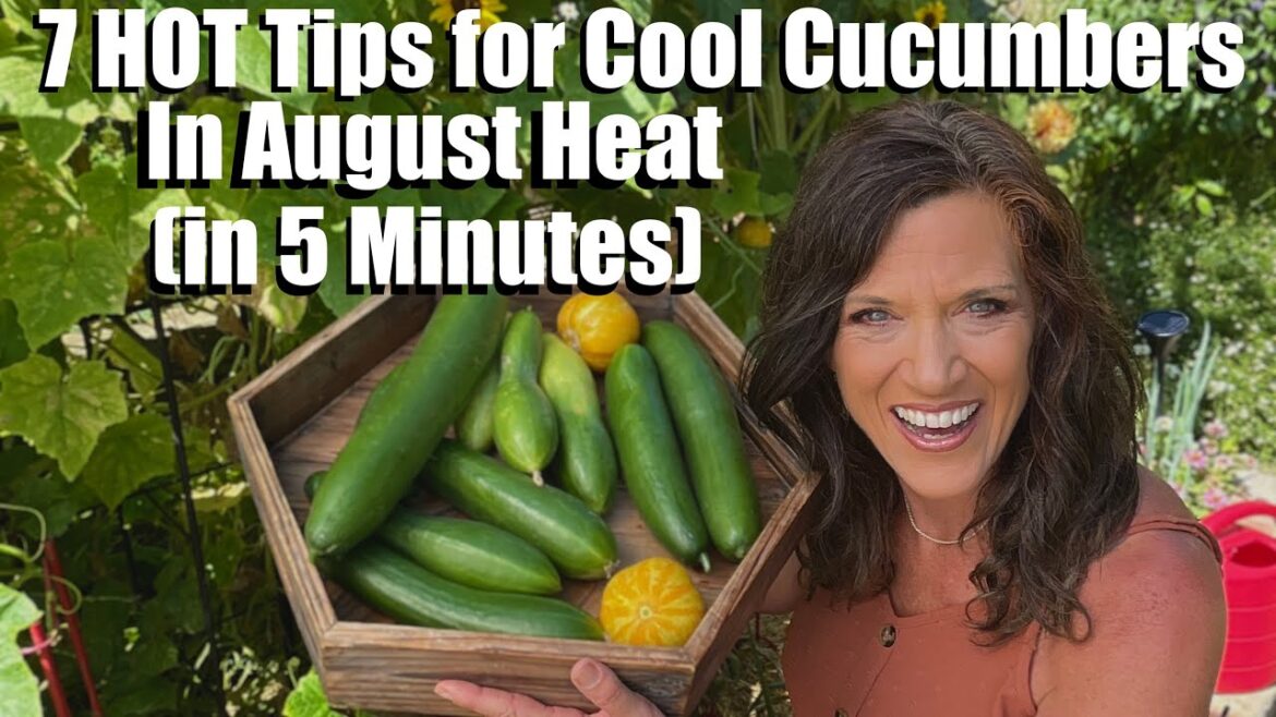 CaliKim: 7 Hot Tips for Cool Cucumbers in August (in 5 Minutes) 7 Hot Tips for Cool Cucumbers in August (in 5 Minutes)