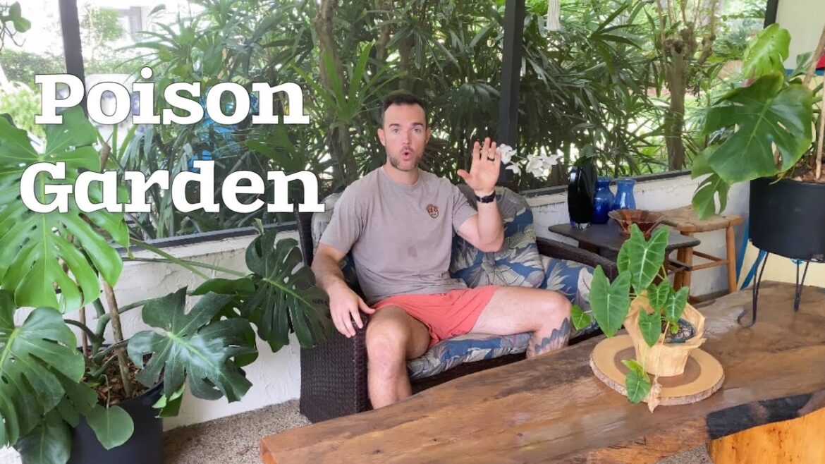 Do Not Make This Gardening Mistake | Manure is No Longer Safe Do Not Make This Gardening Mistake | Manure is No Longer Safe