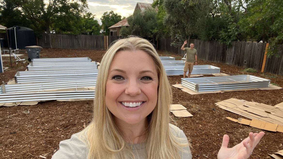 We Did It! 💪🏼 Putting Together Raised Beds for the No-Till Garden! :: No Till Garden Beds Zone 9B