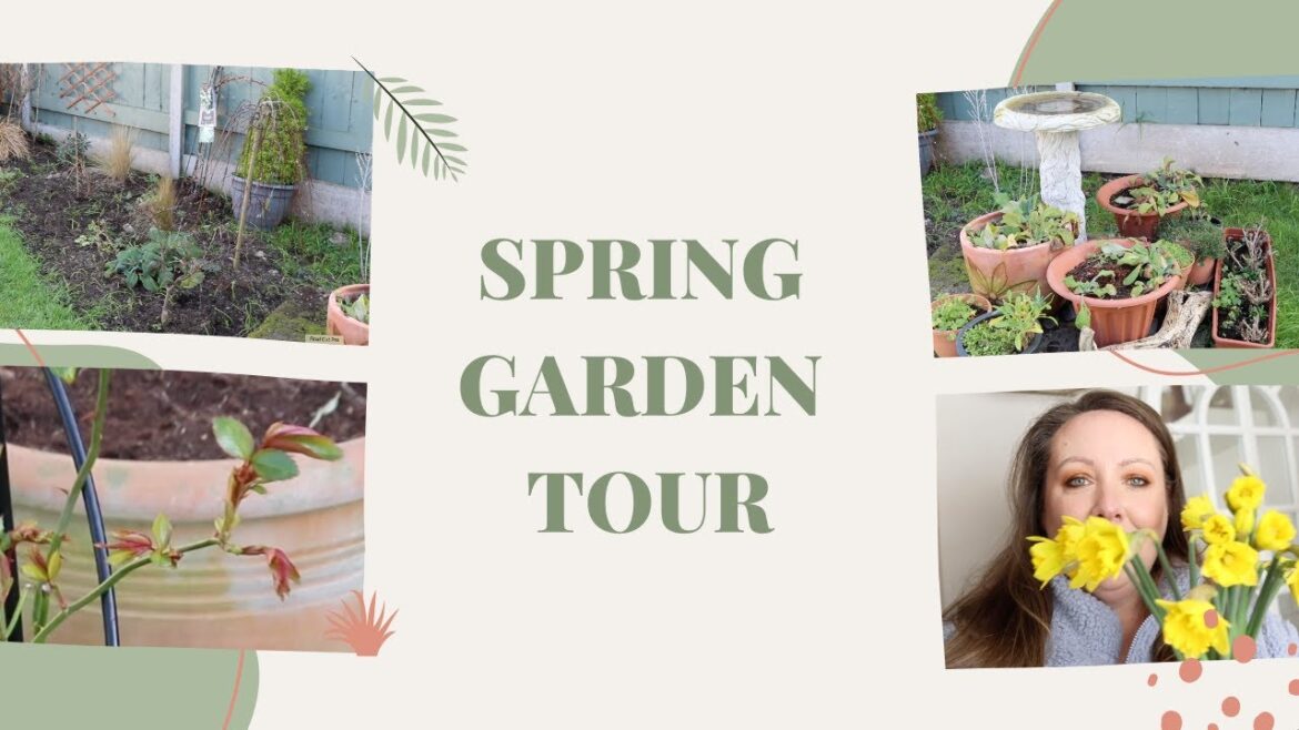 2023 Spring garden tour & plans for this year!