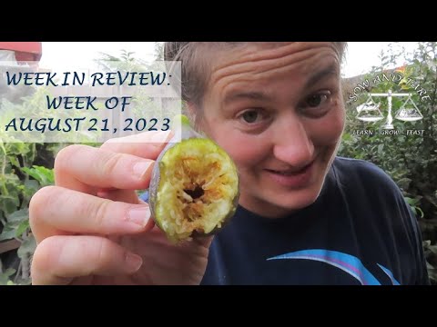 Week in Review: Week of August 14, 2023 Week in Review: Week of August 14, 2023