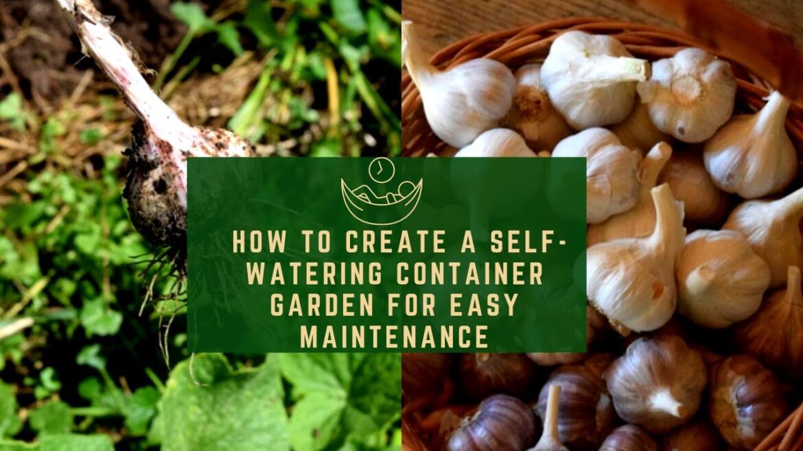 How to Create a Self Watering Container Garden for Easy Maintenance
