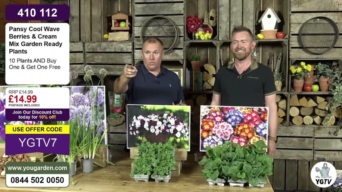 You Garden Live Stream