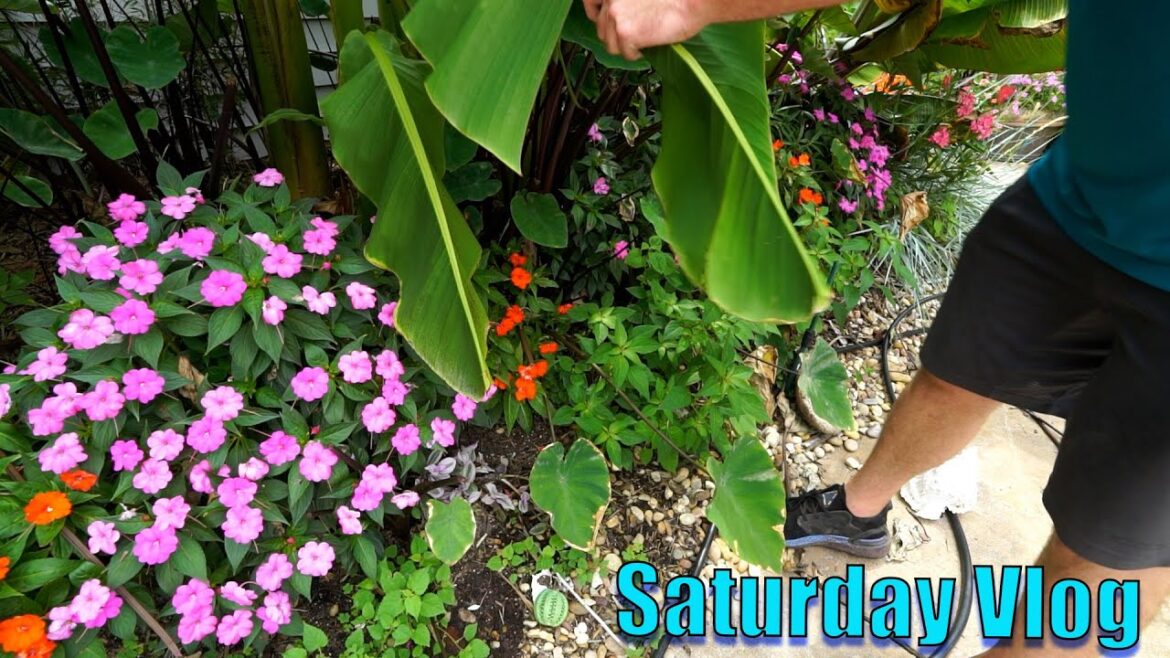 Cleaning up Messy Backyard & Shopping For Gardening Supplies || Saturday Vlog