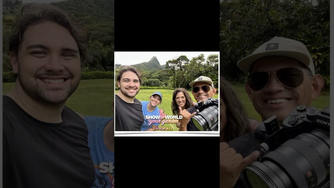 Remember Moku & Ixchel from Oahu? Lāhainā Fire