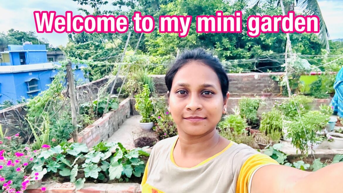 Welcome to my terrace ||mini garden||#vlog #myfirstvlog