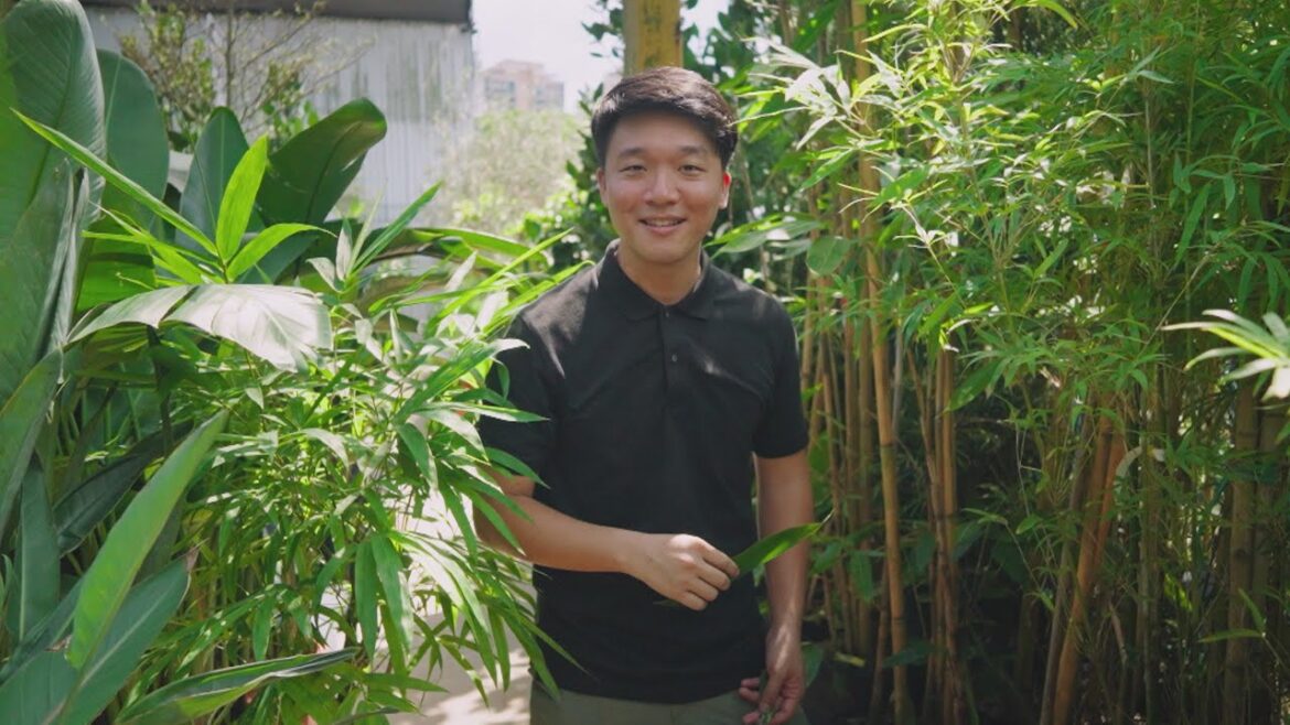 The Garden Gurus: Garden Revolution EP7