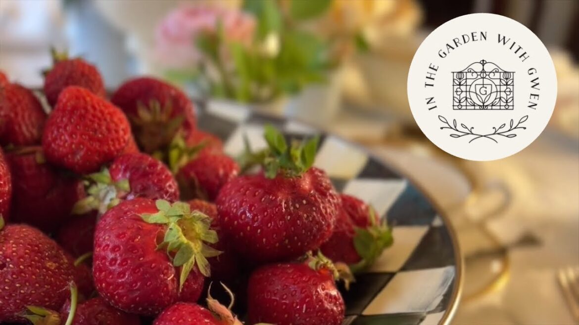 David Austin Roses & Strawberry Pie | Garden Chores E14. #davidaustin #harneyandsonstea #flowers