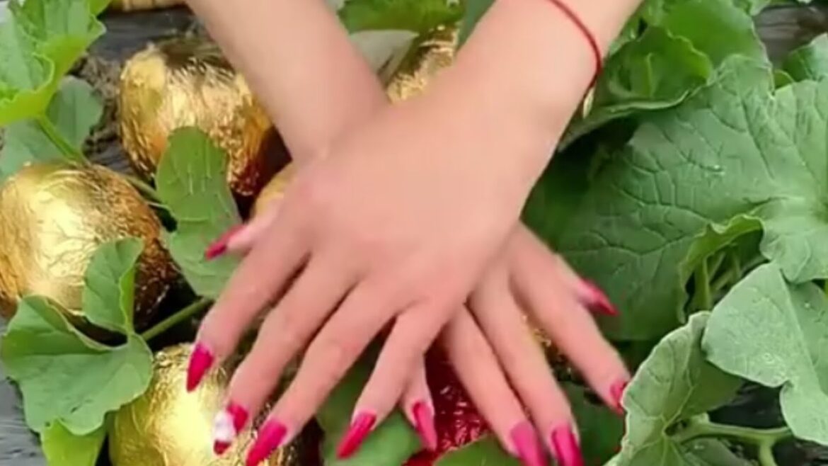 Enjoy Beautiful Nature With Rural Life (# 08 ) Fresh fruit picking,