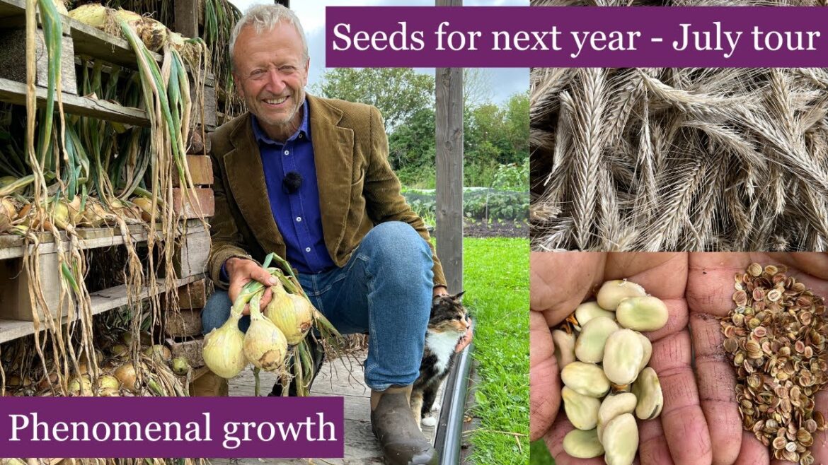 July tour after a cool, dull and and wet month July tour after a cool, dull and and wet month