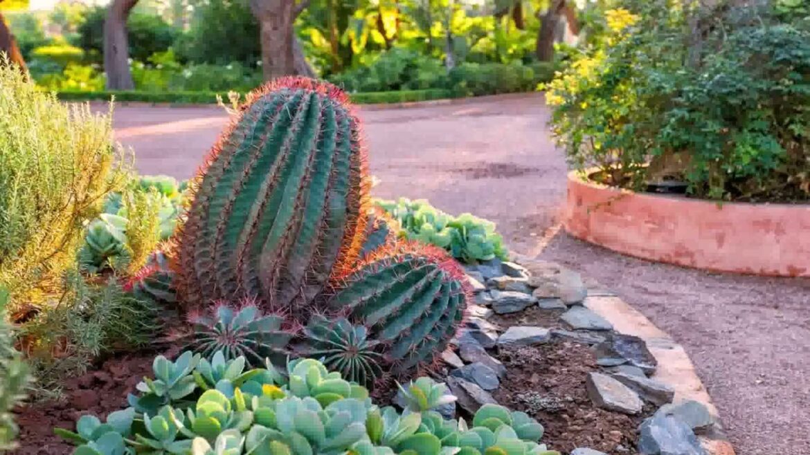 Front Yard Design Ideas On A Budget