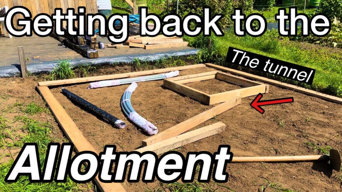 Starting A New Allotment - Plans / Prep | LETS GO!! #gardening