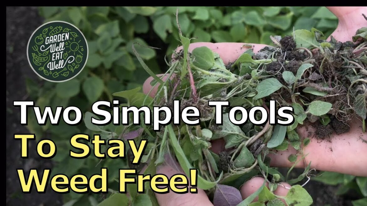 A Stirrup Hoe…And Just A Spoon! The ONLY Tools You Need For A Weed Free Garden! A Stirrup Hoe...And Just A Spoon! The ONLY Tools You Need For A Weed Free Garden!
