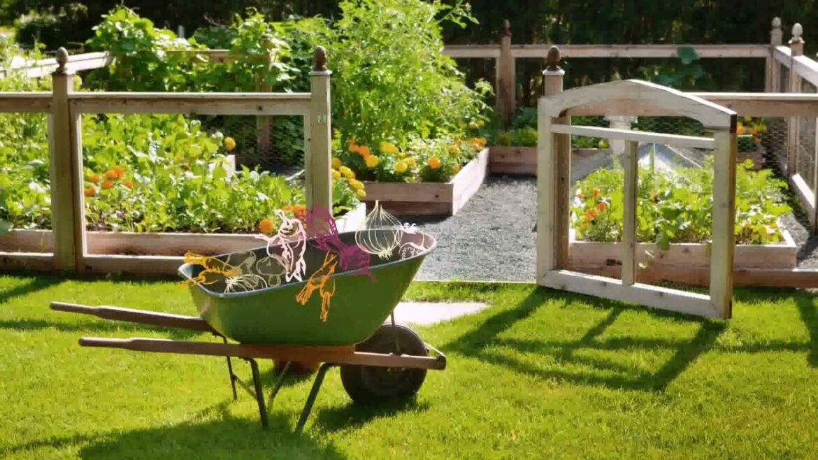 Back Garden Ideas On A Budget