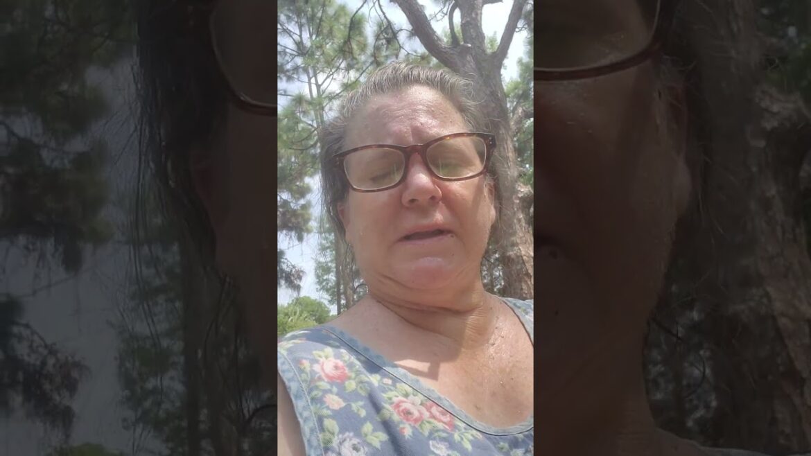 Garden Plans and What I Need to Do..It's Hot!