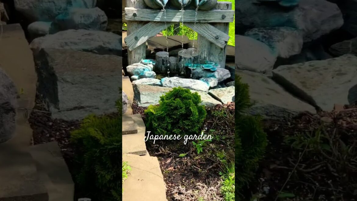 zen backyard #japanese #garden #summer #shorts