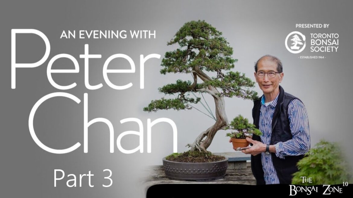 An Evening with Peter Chan, Part 3, The Bonsai Zone, July 2023